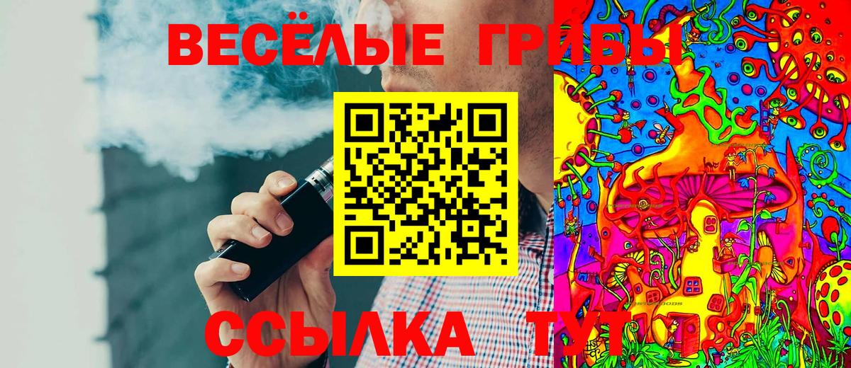 Большой Камень  Псилоцибиновые грибы Psilocybine cubensis  Вход с VPN  Галлюциногенные грибы Cubensis 